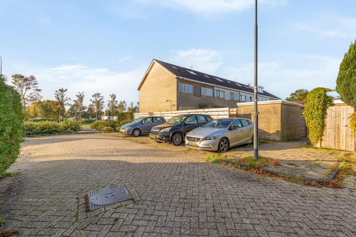 Foto 32 van Zwemmer 85