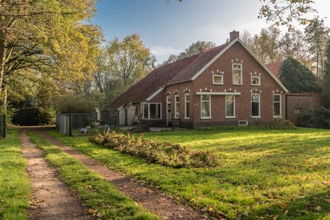 undefined main image