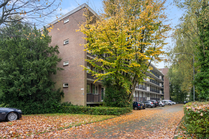 Bekijk foto 31 van Thorbeckestraat 26