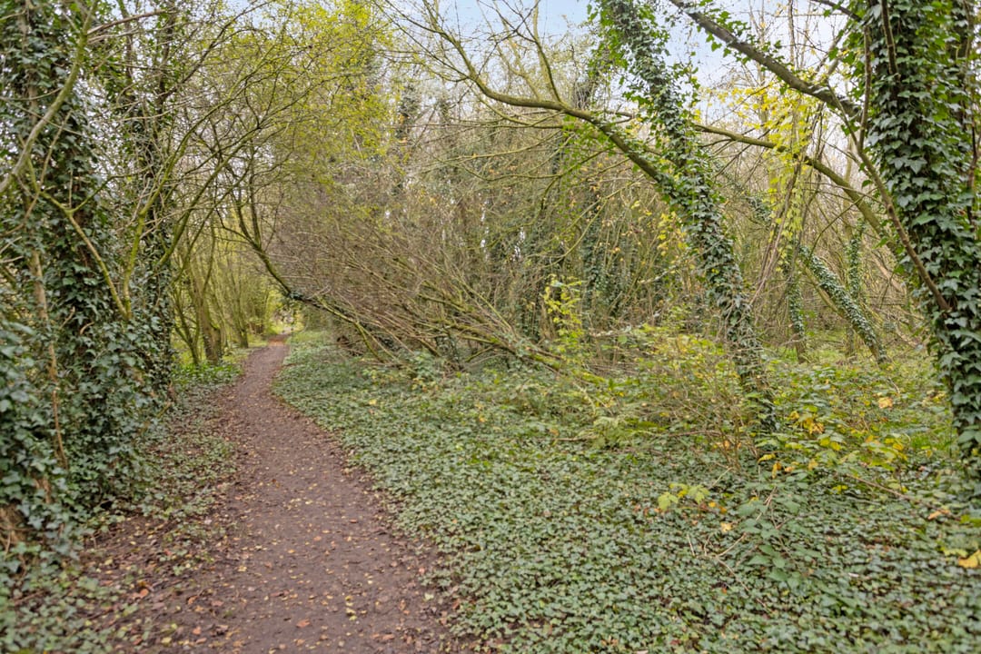 Foto 28 van Baron van Coehoornlaan 10