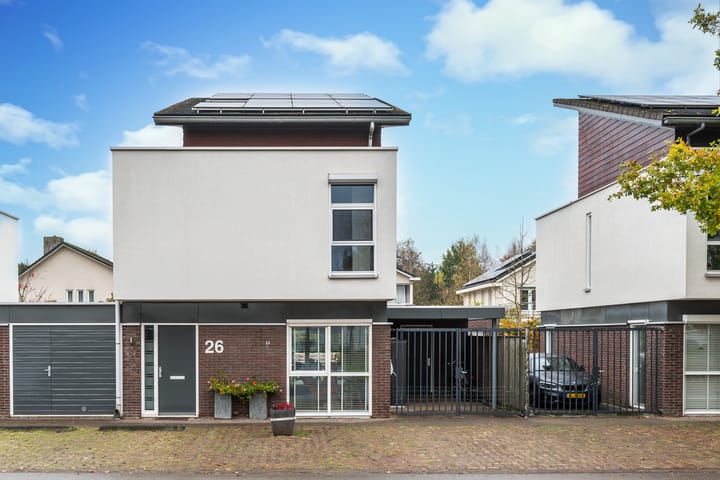 Foto 4 van Zandkrab 26