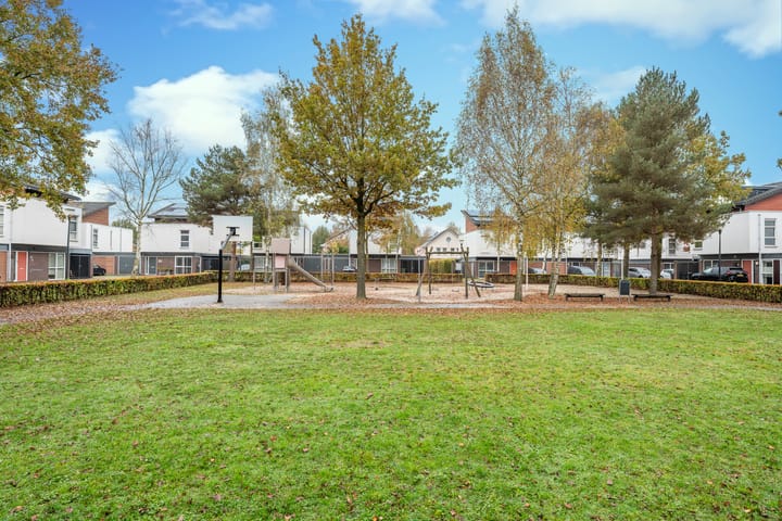 Foto 7 van Zandkrab 26