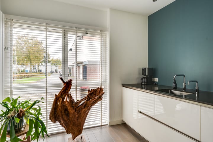 Foto 21 van Zandkrab 26