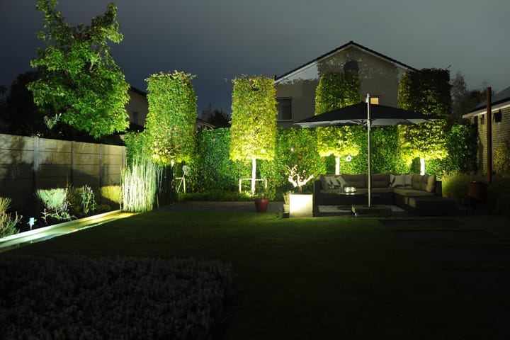 Foto 46 van Zandkrab 26