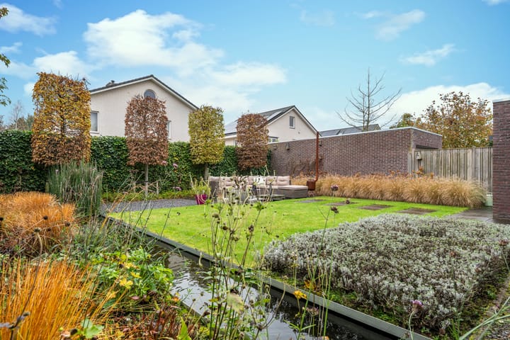 Foto 47 van Zandkrab 26