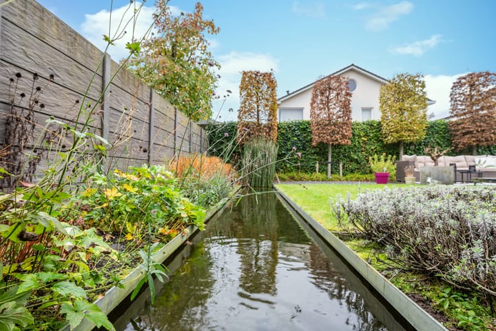 Foto 48 van Zandkrab 26