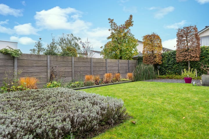 Foto 50 van Zandkrab 26