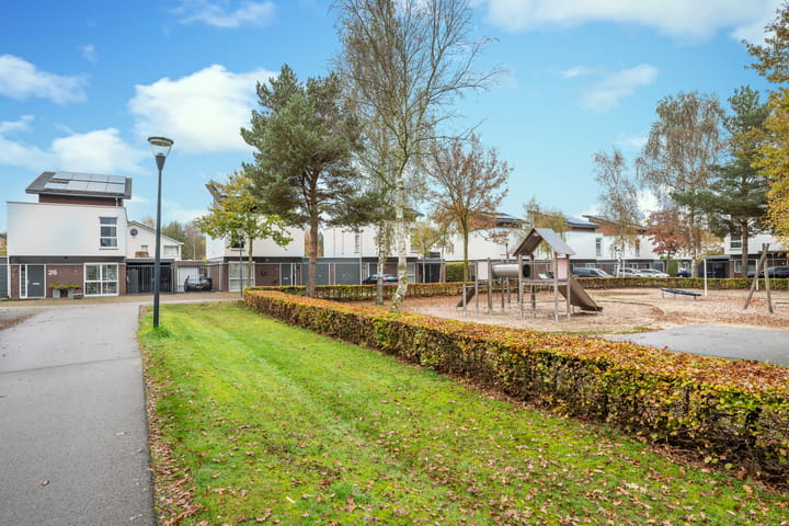 Foto 54 van Zandkrab 26