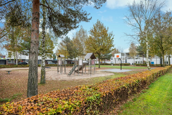 Foto 55 van Zandkrab 26