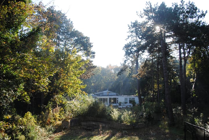 Foto 5 van Duinlustweg 3