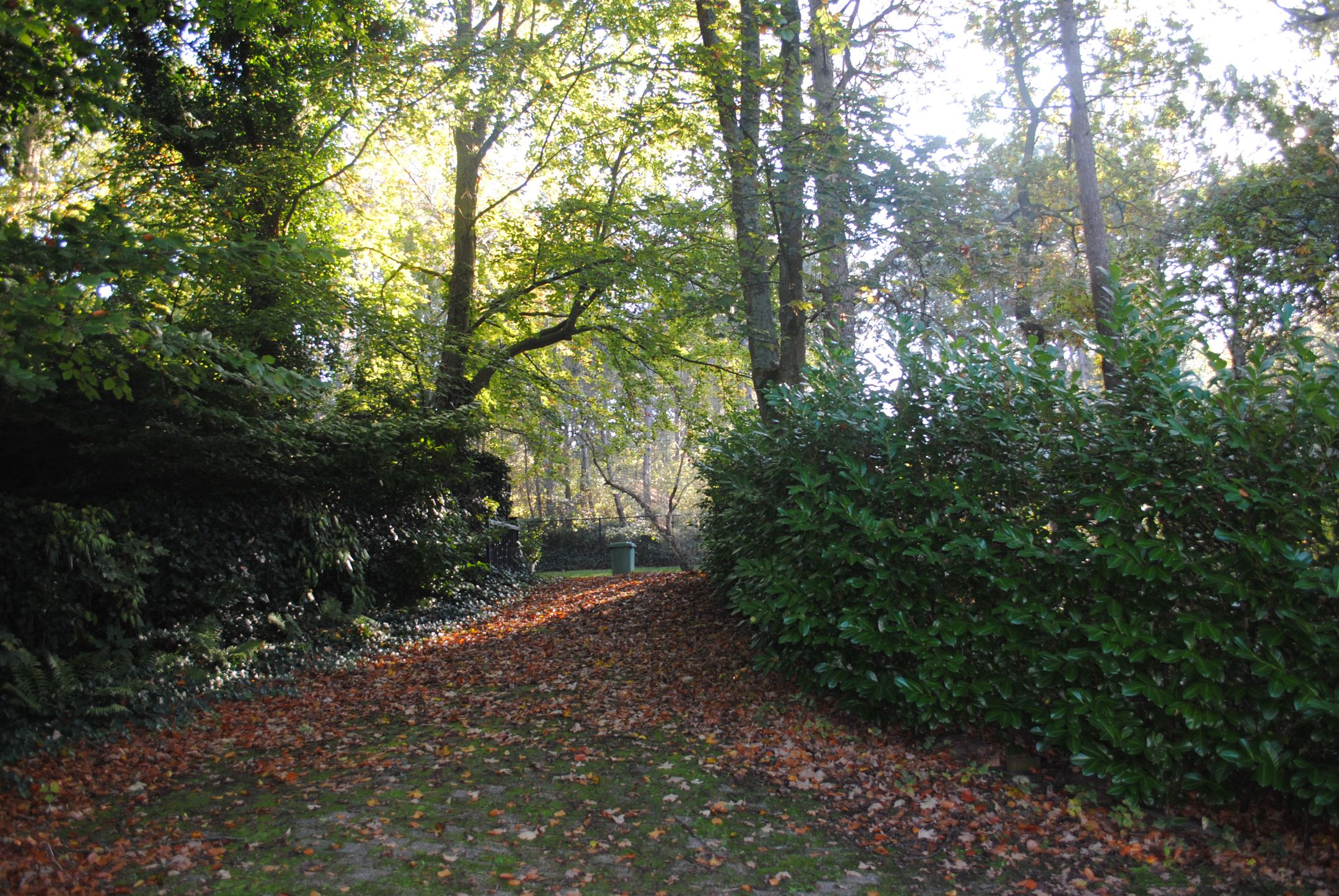 Foto 12 van Duinlustweg 3