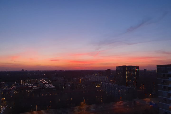 Bekijk foto 10 van Nachtwachtlaan 220