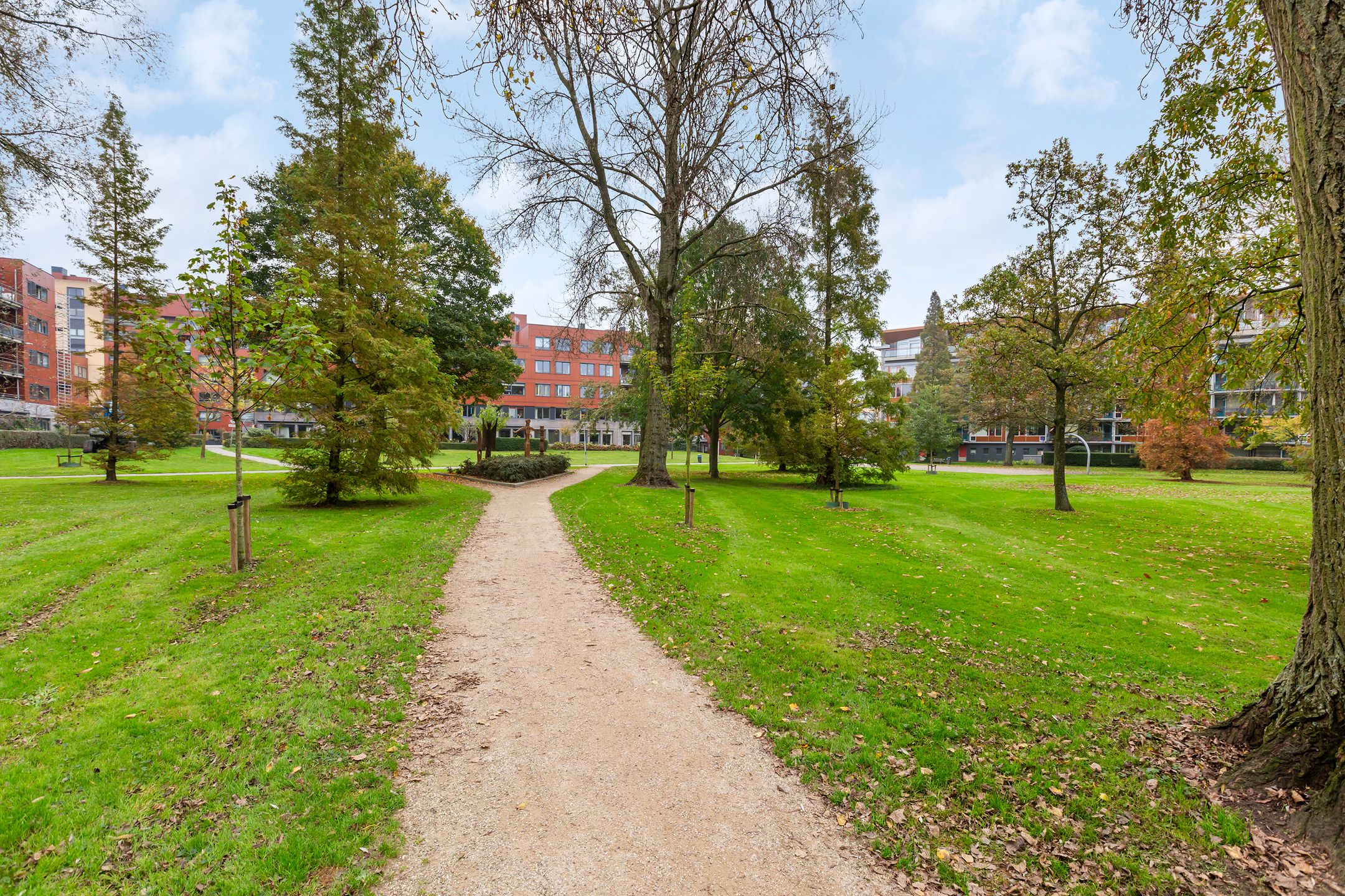 Photo 36 of Buis 157