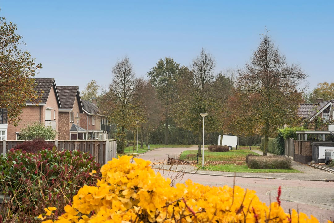 Foto 2 van Hagslagen 117