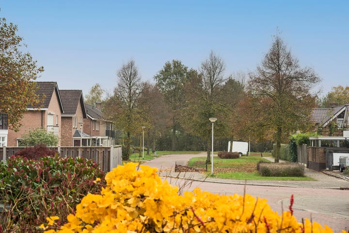 Foto 2 van Hagslagen 117