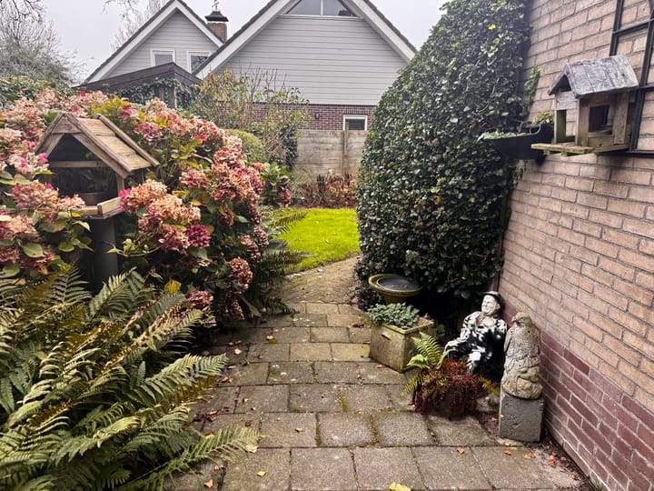 Foto 3 van Blomikkers 11