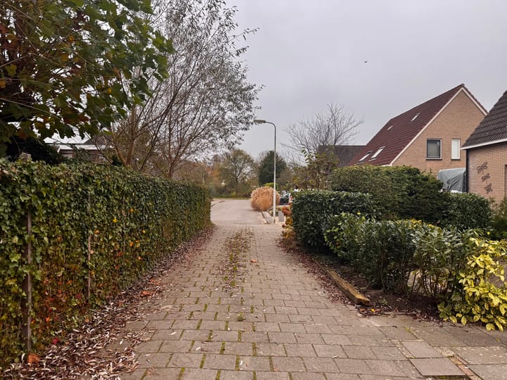 Foto 7 van Blomikkers 11