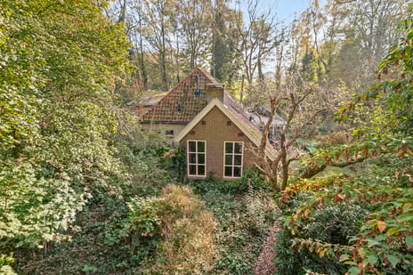 undefined main image