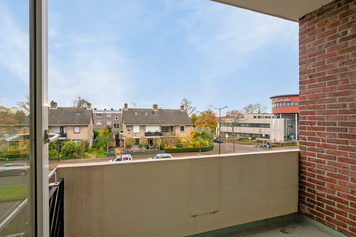 Foto 18 van Rooseveltlaan 91