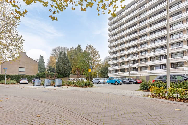 Foto 3 van de Koppele 613