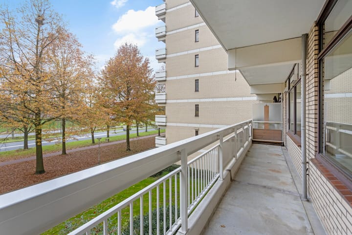 Foto 29 van de Koppele 613