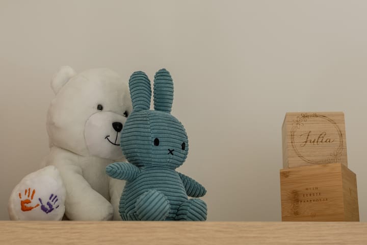 Foto 32 van W. de Vries Robbéweg 38