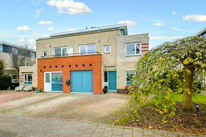 Foto 2 van Koraal 17