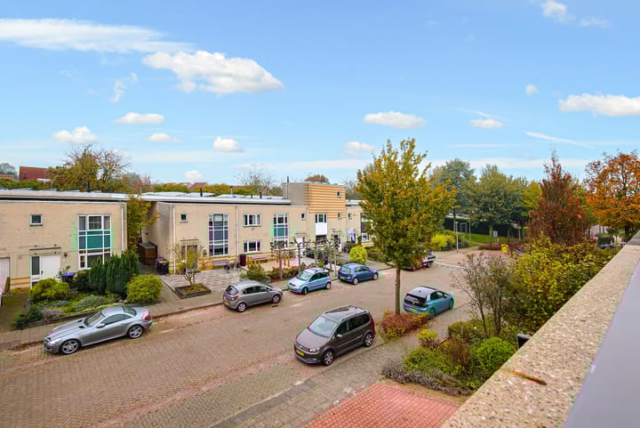 Foto 49 van Koraal 17