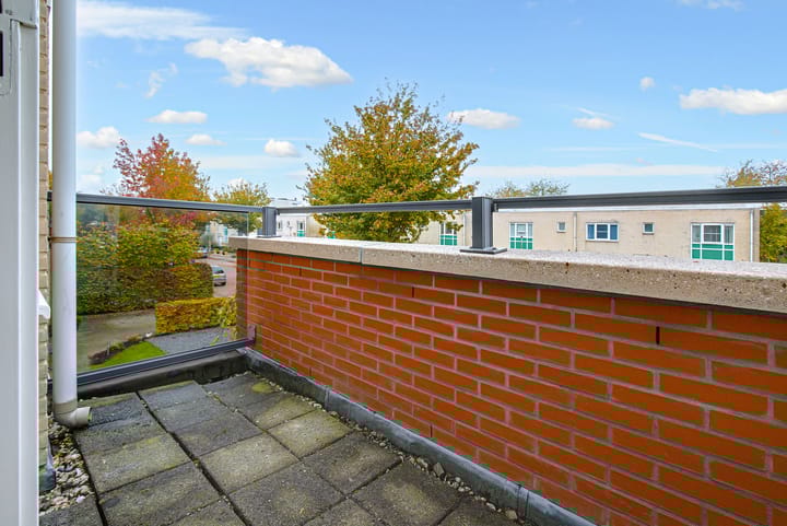 Foto 50 van Koraal 17