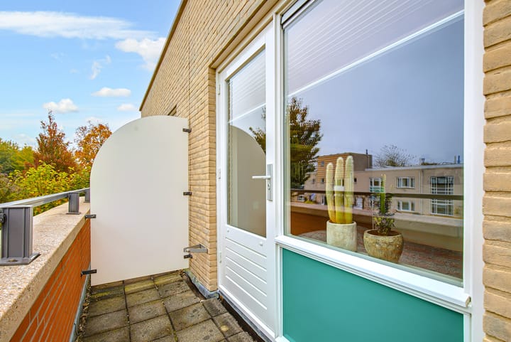 Foto 51 van Koraal 17