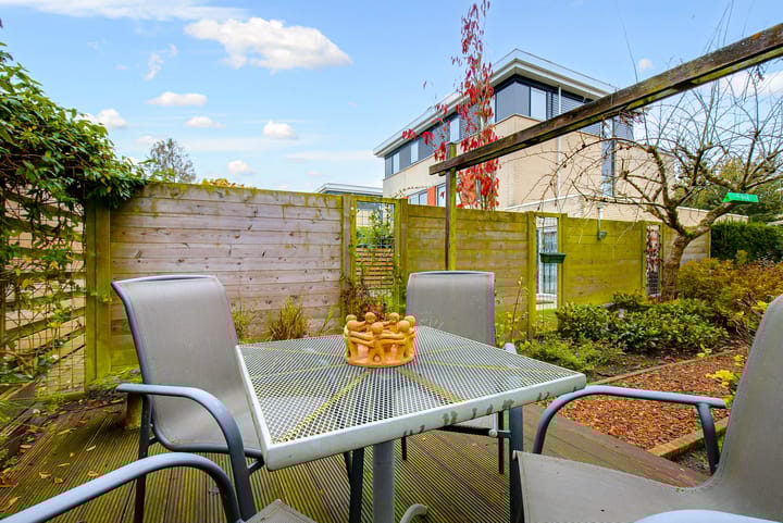 Foto 60 van Koraal 17