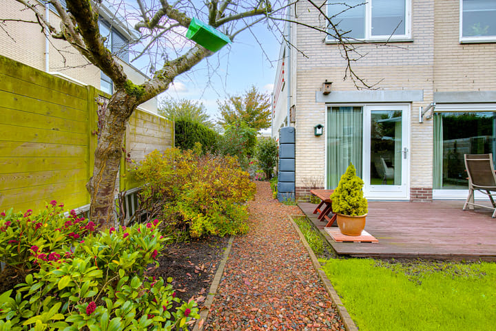 Foto 61 van Koraal 17