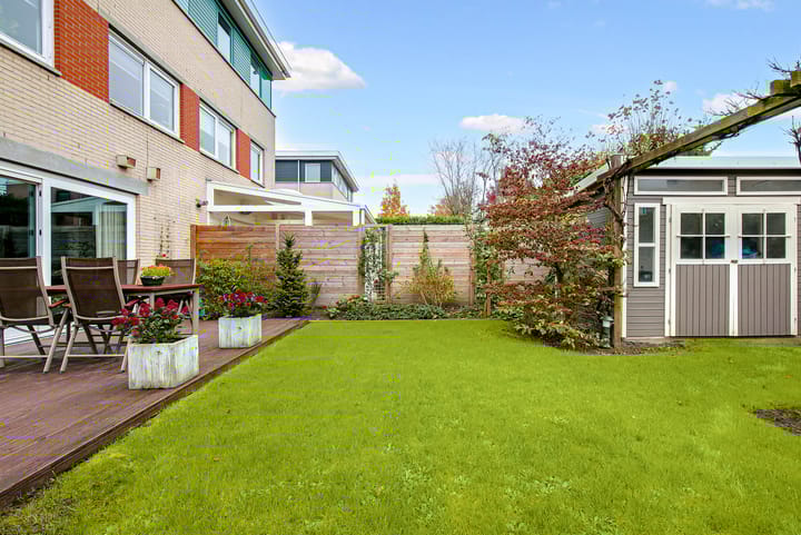 Foto 62 van Koraal 17