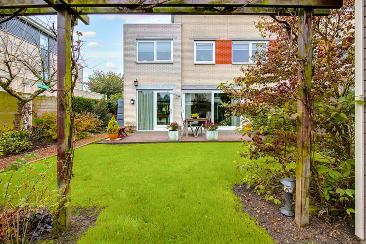 Foto 64 van Koraal 17