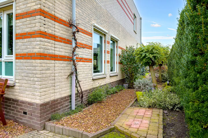 Foto 66 van Koraal 17