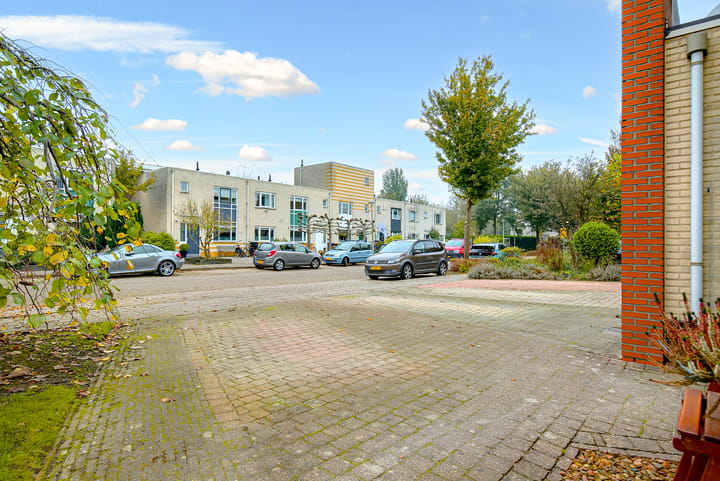 Foto 67 van Koraal 17