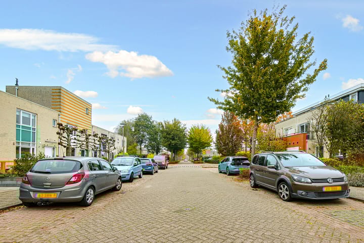 Foto 68 van Koraal 17