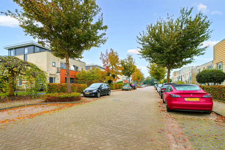 Foto 69 van Koraal 17