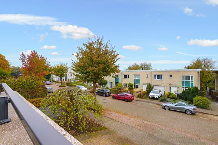 Foto 70 van Koraal 17