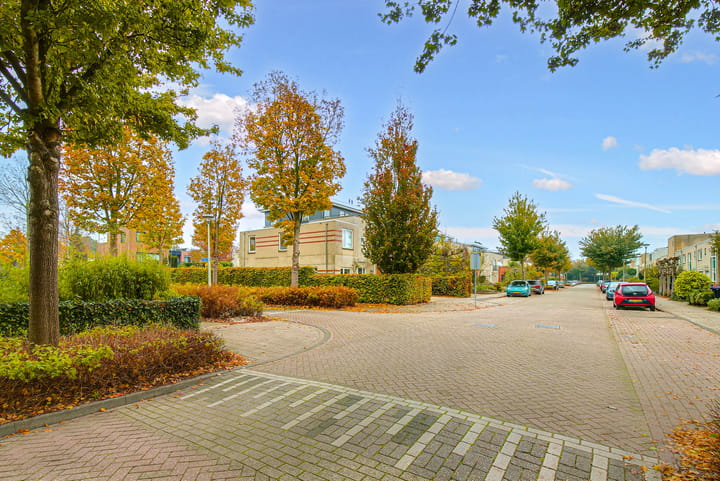 Foto 71 van Koraal 17