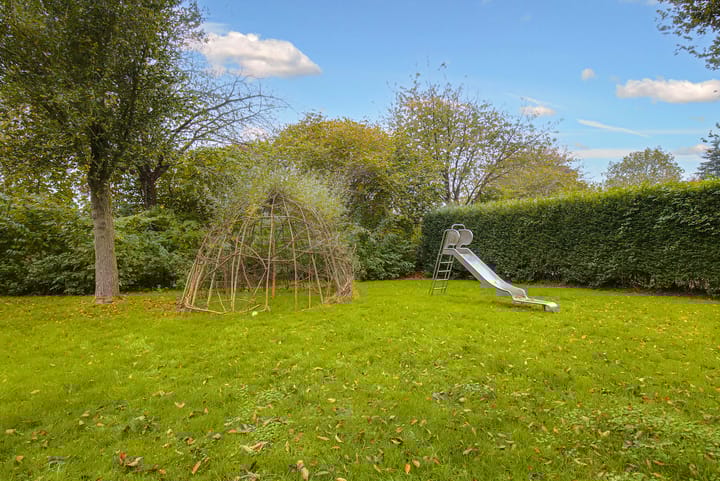 Foto 73 van Koraal 17