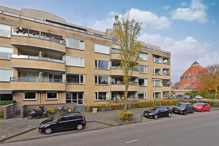 undefined main image