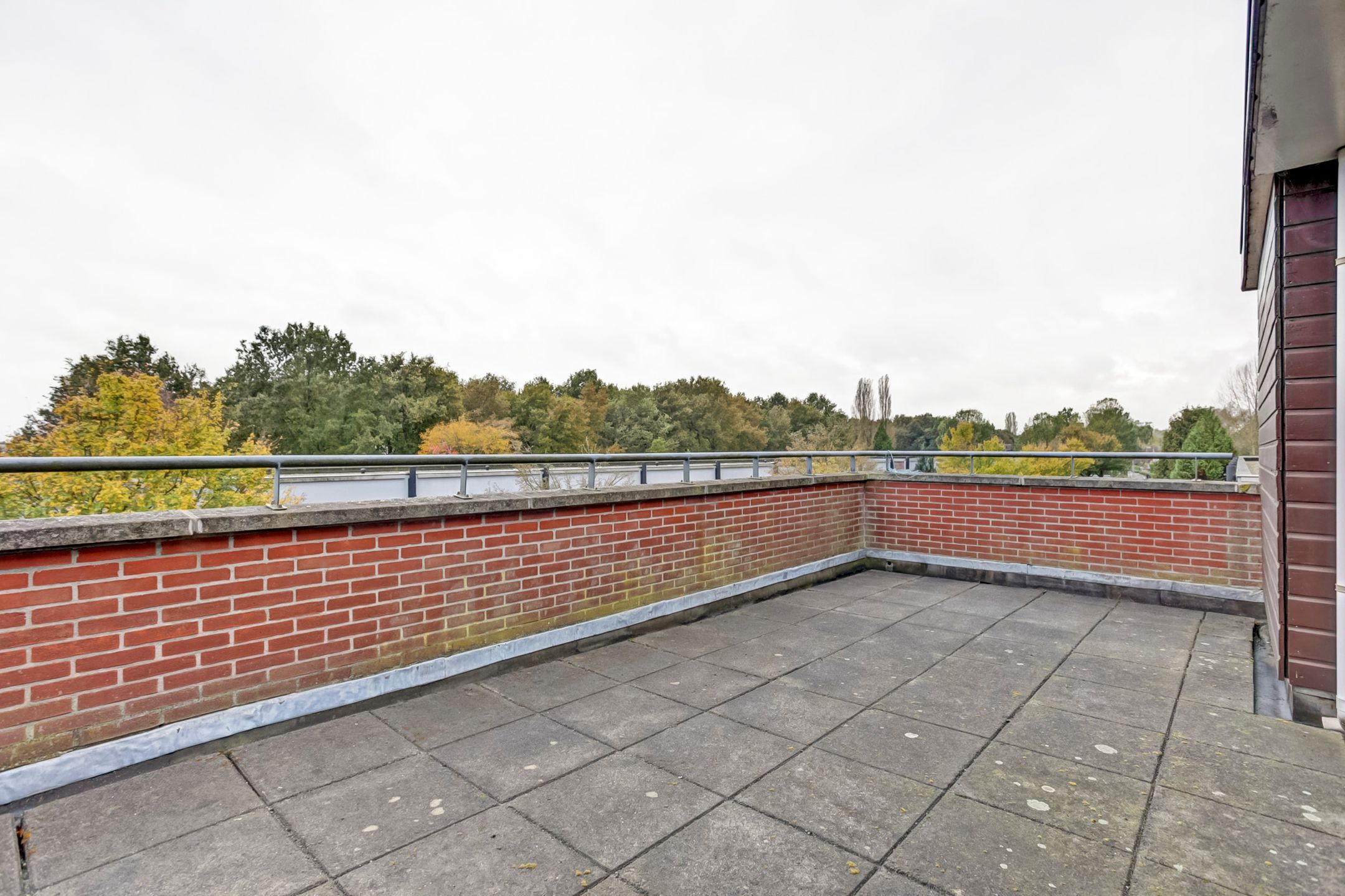 Foto 15 van Vlierbessenstraat 2