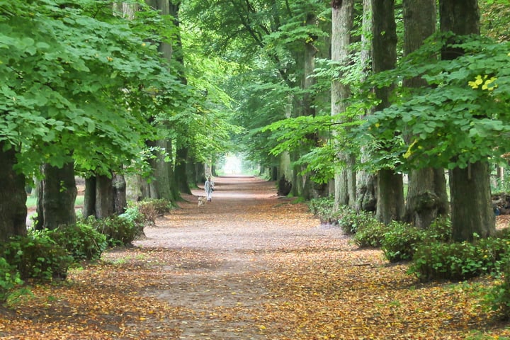 Bekijk foto 42 van Leidsevaartweg 67