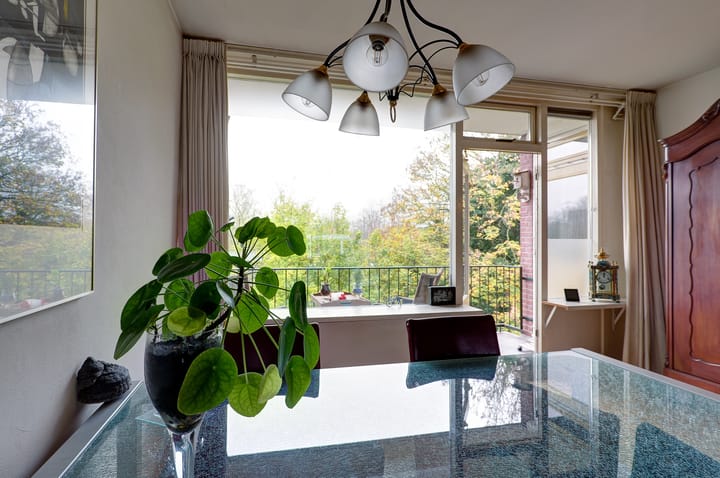 Foto 13 van Troelstralaan 6