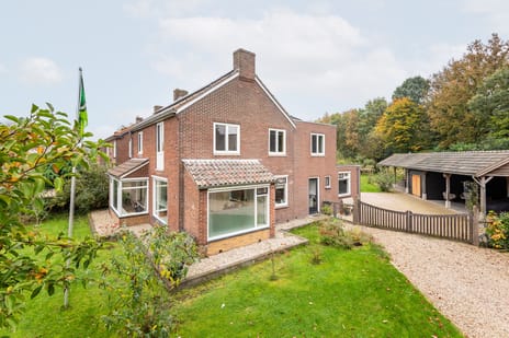 undefined main image