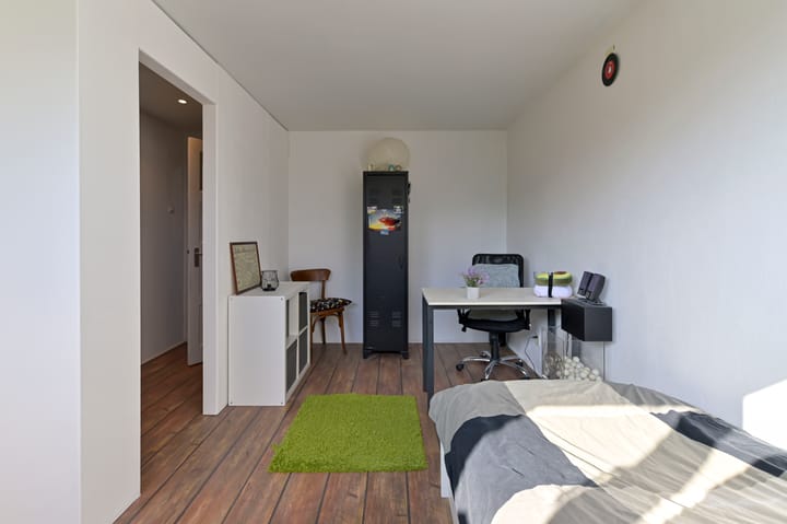 Photo 18 of Ruijs de Beerenbrouckstraat 2