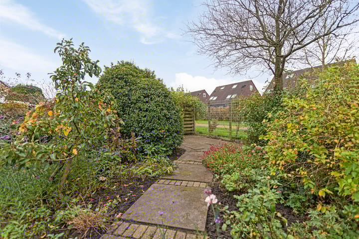 Foto 12 van Rollemastate 39