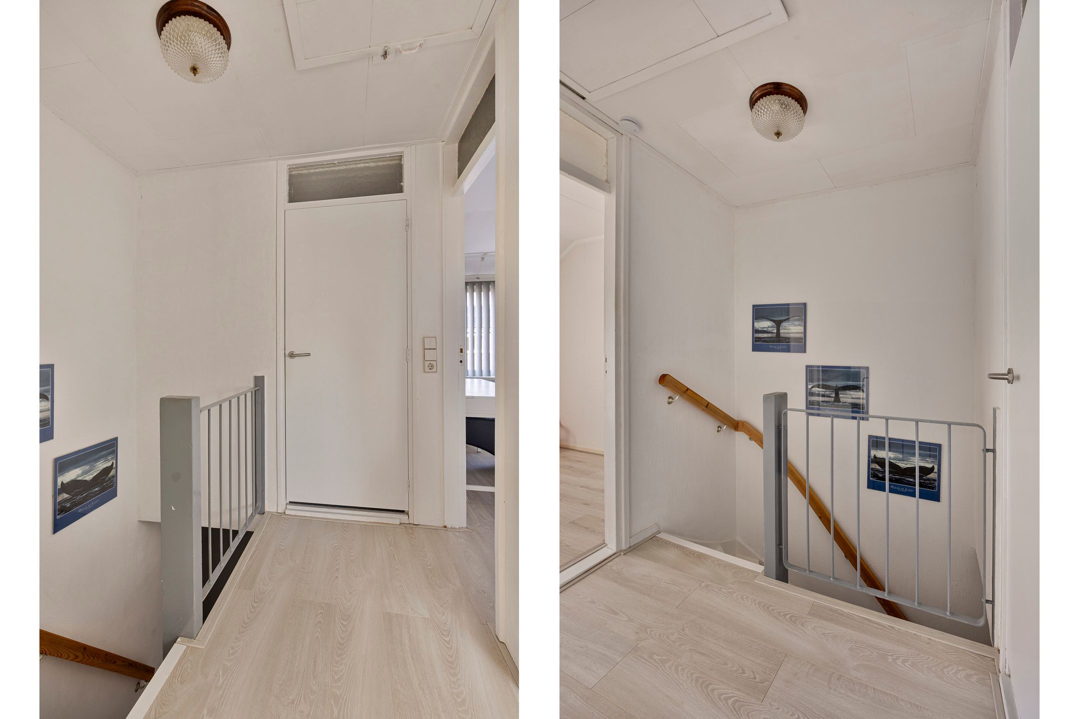 Foto 21 van Eeshofstraat 8