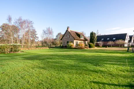 undefined main image